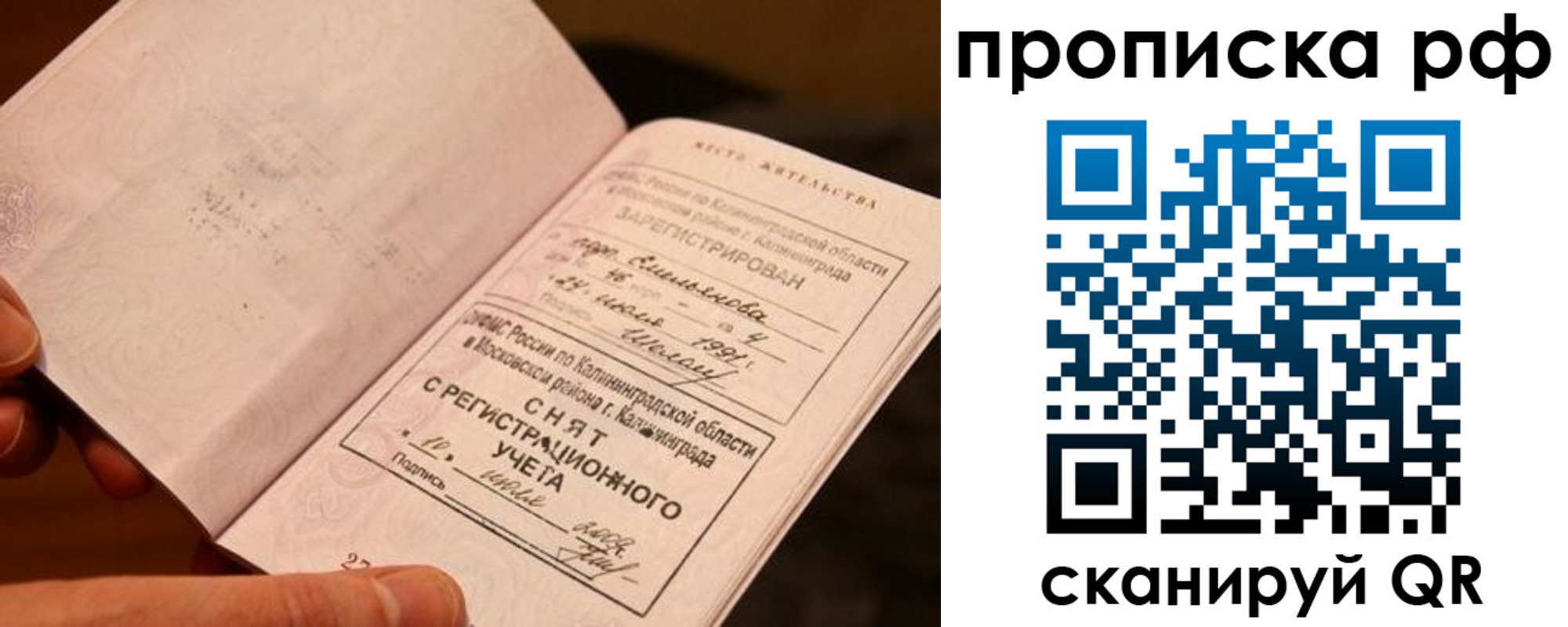 прописка гарантия в Дубне